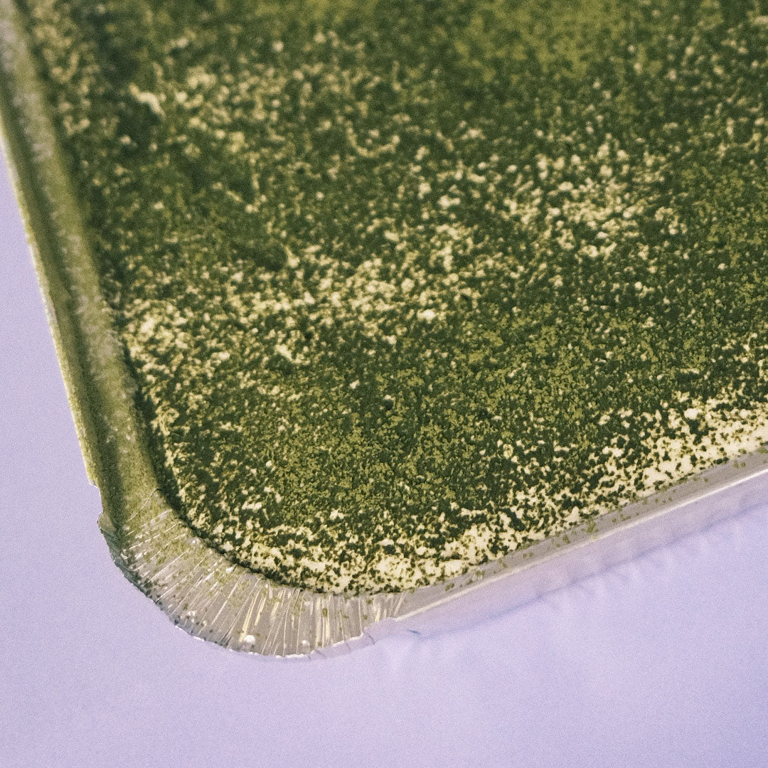 Matcha vanilla tiramisú